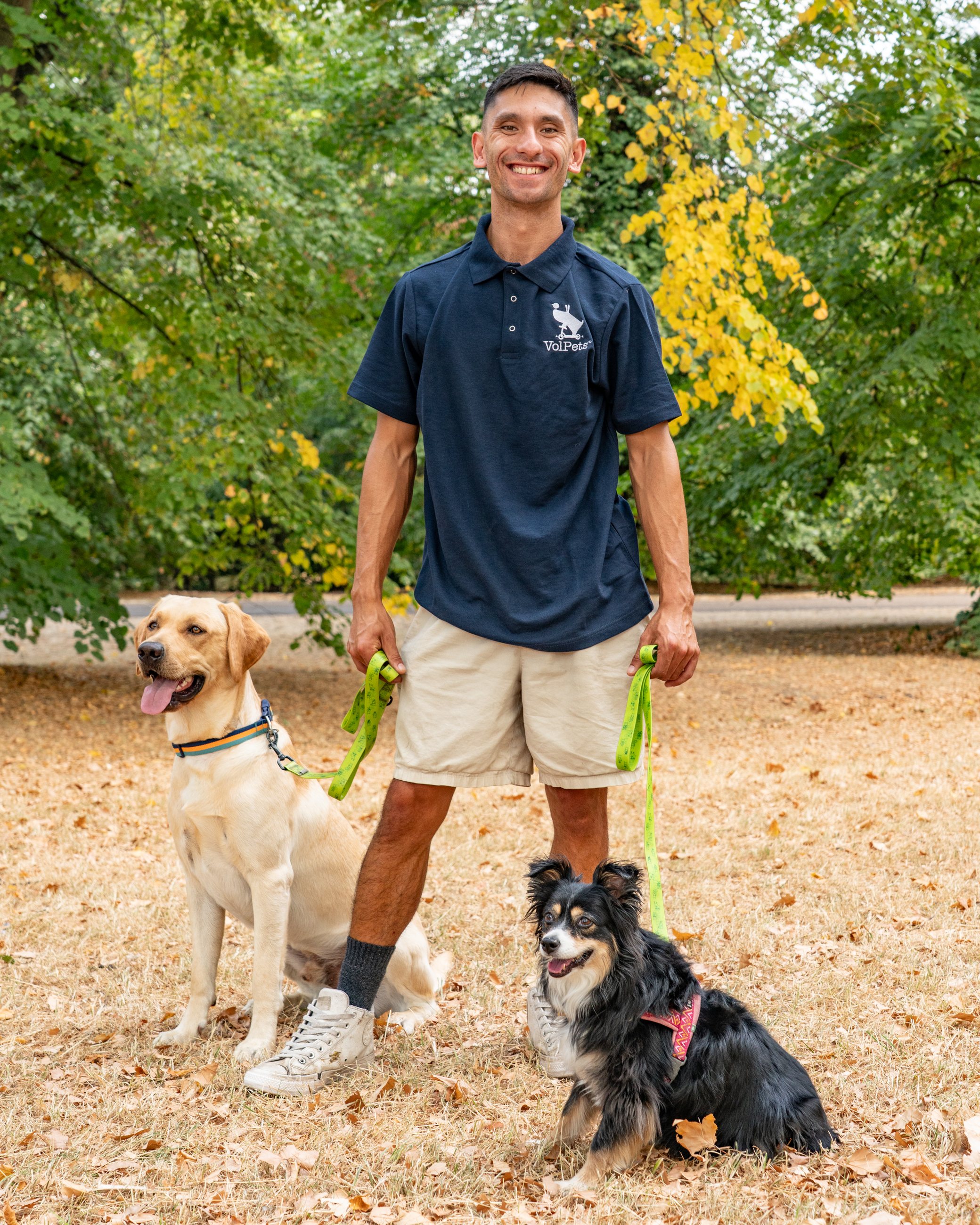 Four happy Volpets dogs together in the park