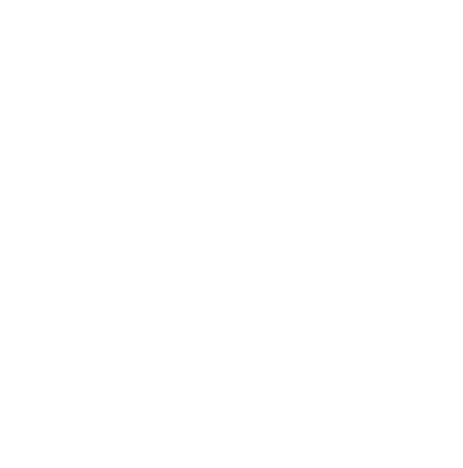 volpets logo image